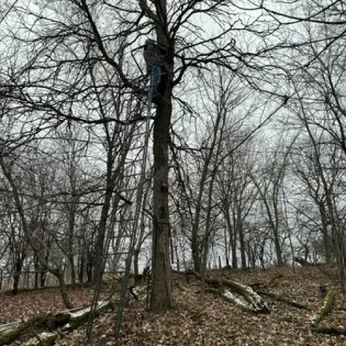 415603637_774074881198518_2655953081637537276_n