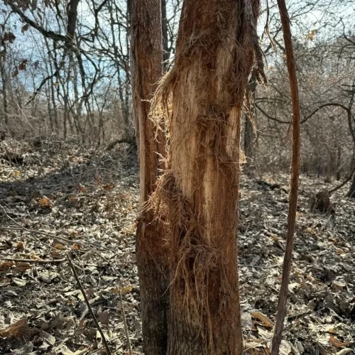 429564034_931595932309247_7367537074841088229_n