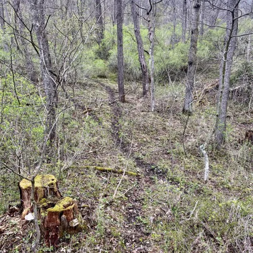 FullSizeRender_3-16395