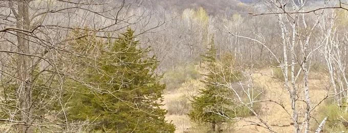 More stand prep and scouting on the new Minnesota property